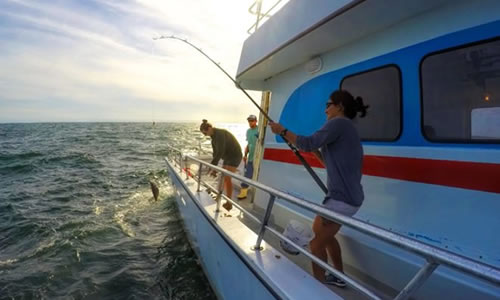 Charter Boat Gulf Breeze