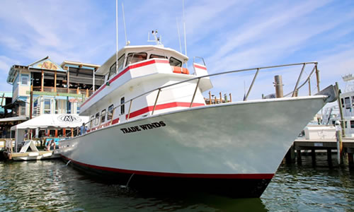 Charter Boat TradeWinds