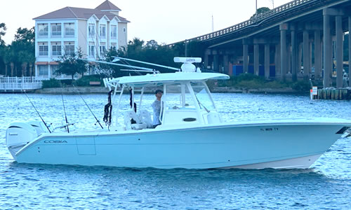 A Slice of Life Fishing