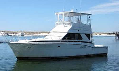 Blue Runner II